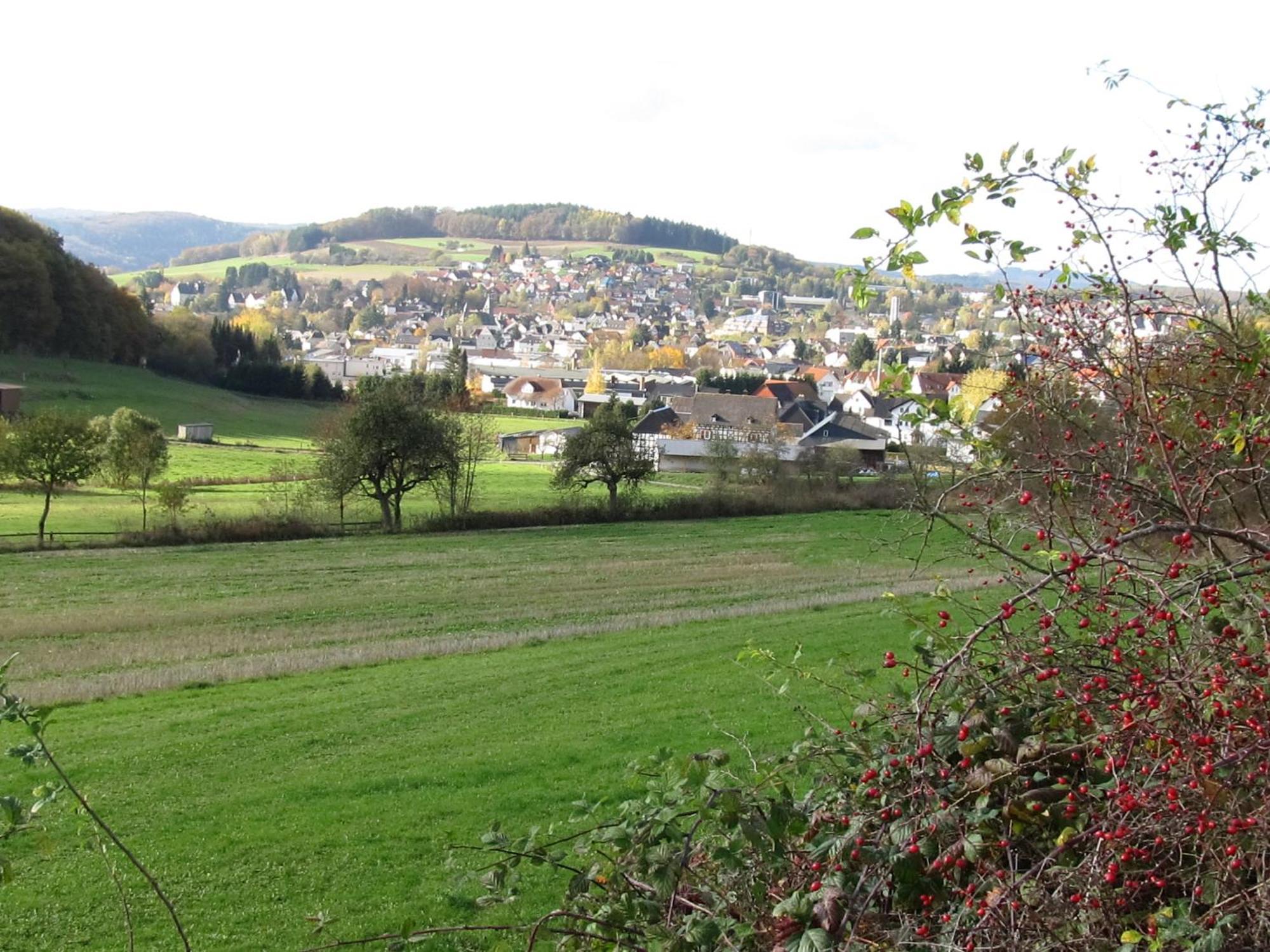 Zum Treppche Hotel Garni Gladenbach Exterior photo